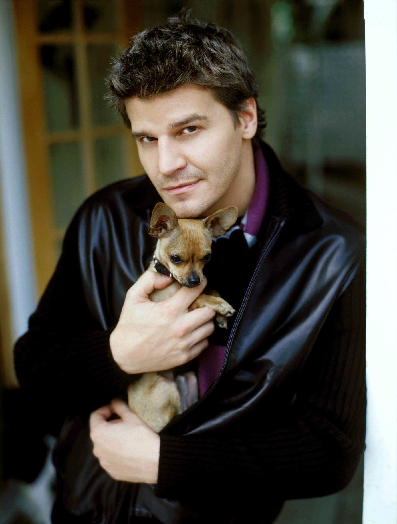 david-boreanaz-quotes