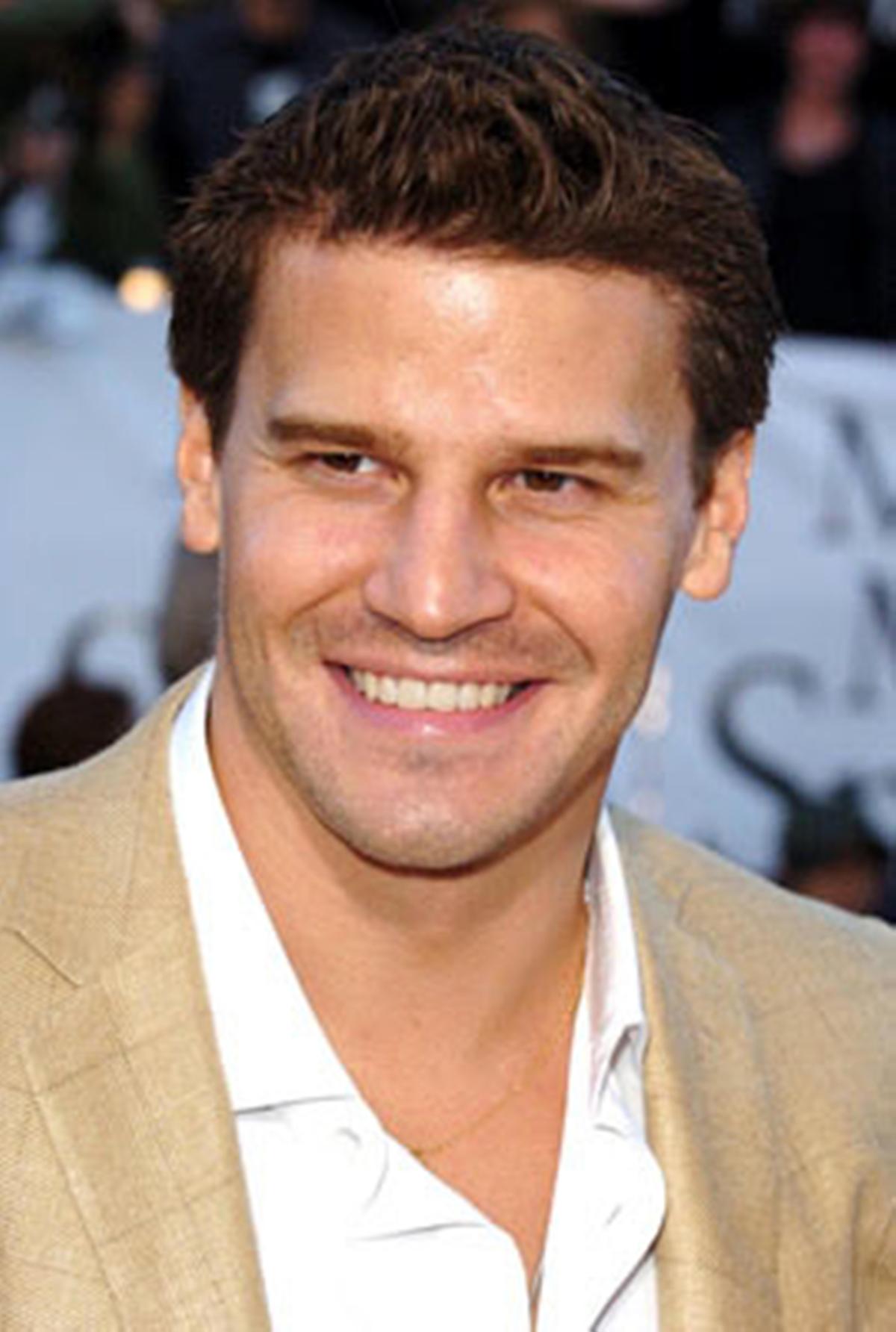 david-boreanaz-scandal