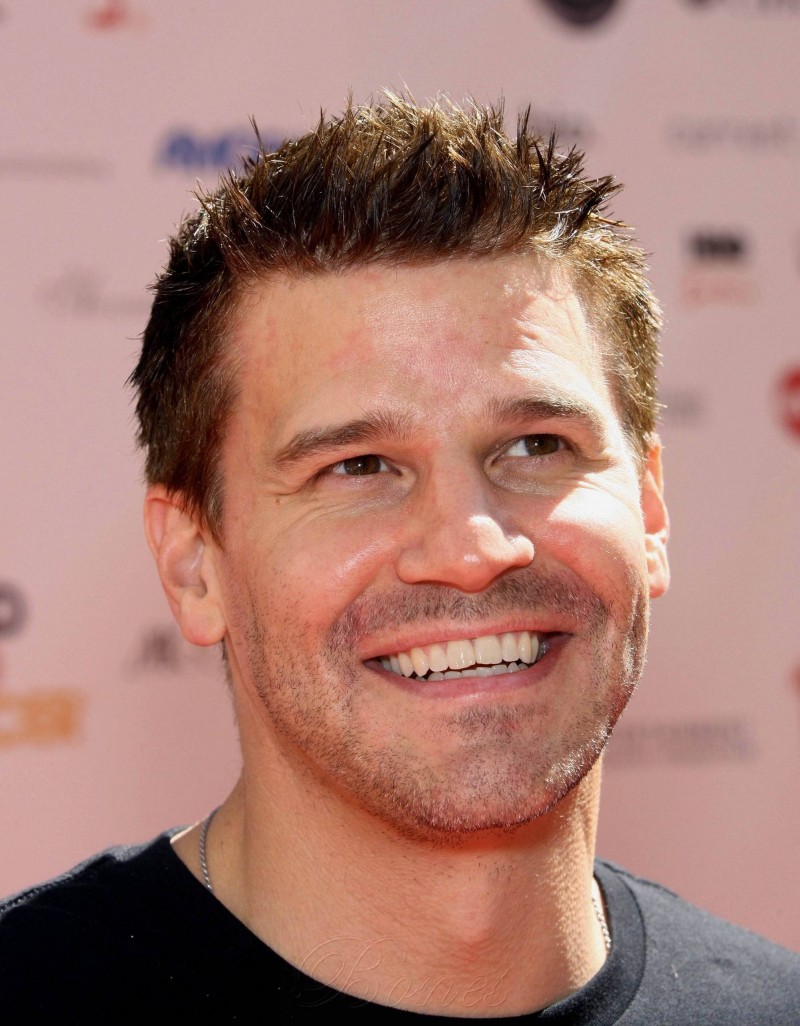 david-boreanaz-wallpapers