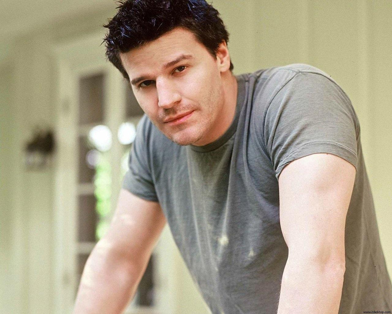 david-boreanaz-young