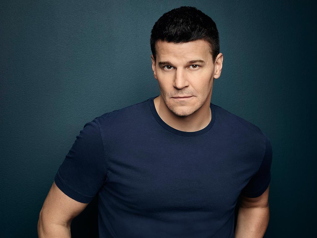 images-of-david-boreanaz