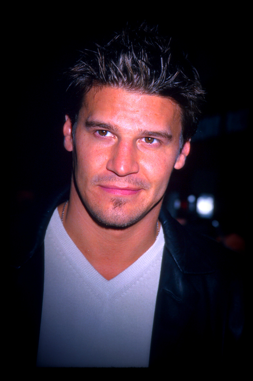 quotes-of-david-boreanaz