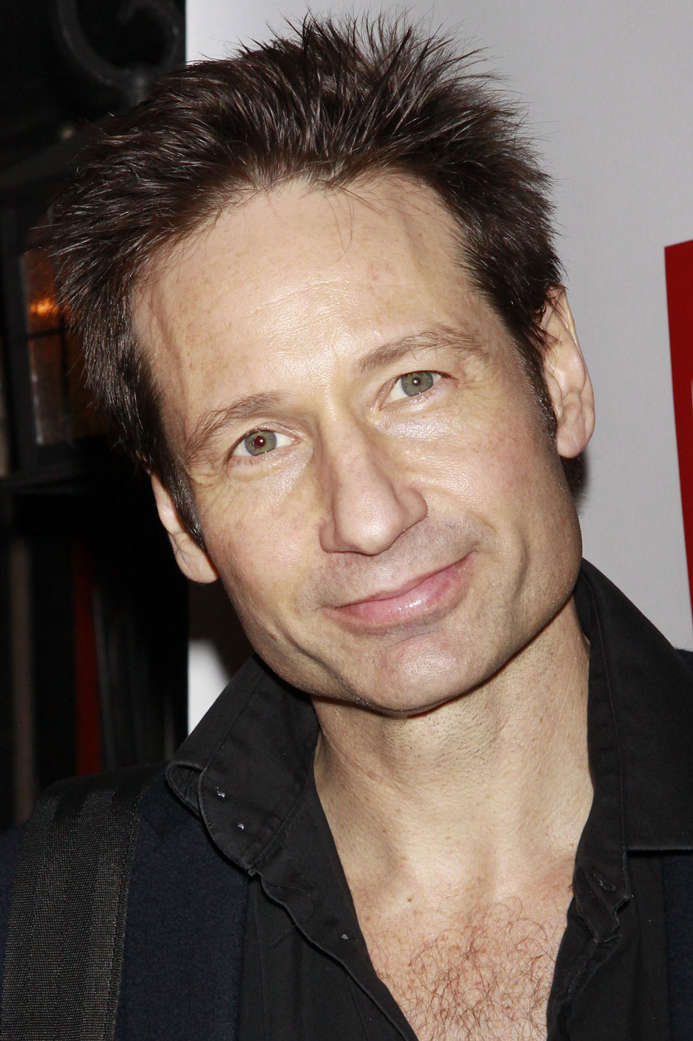 best-pictures-of-david-duchovny