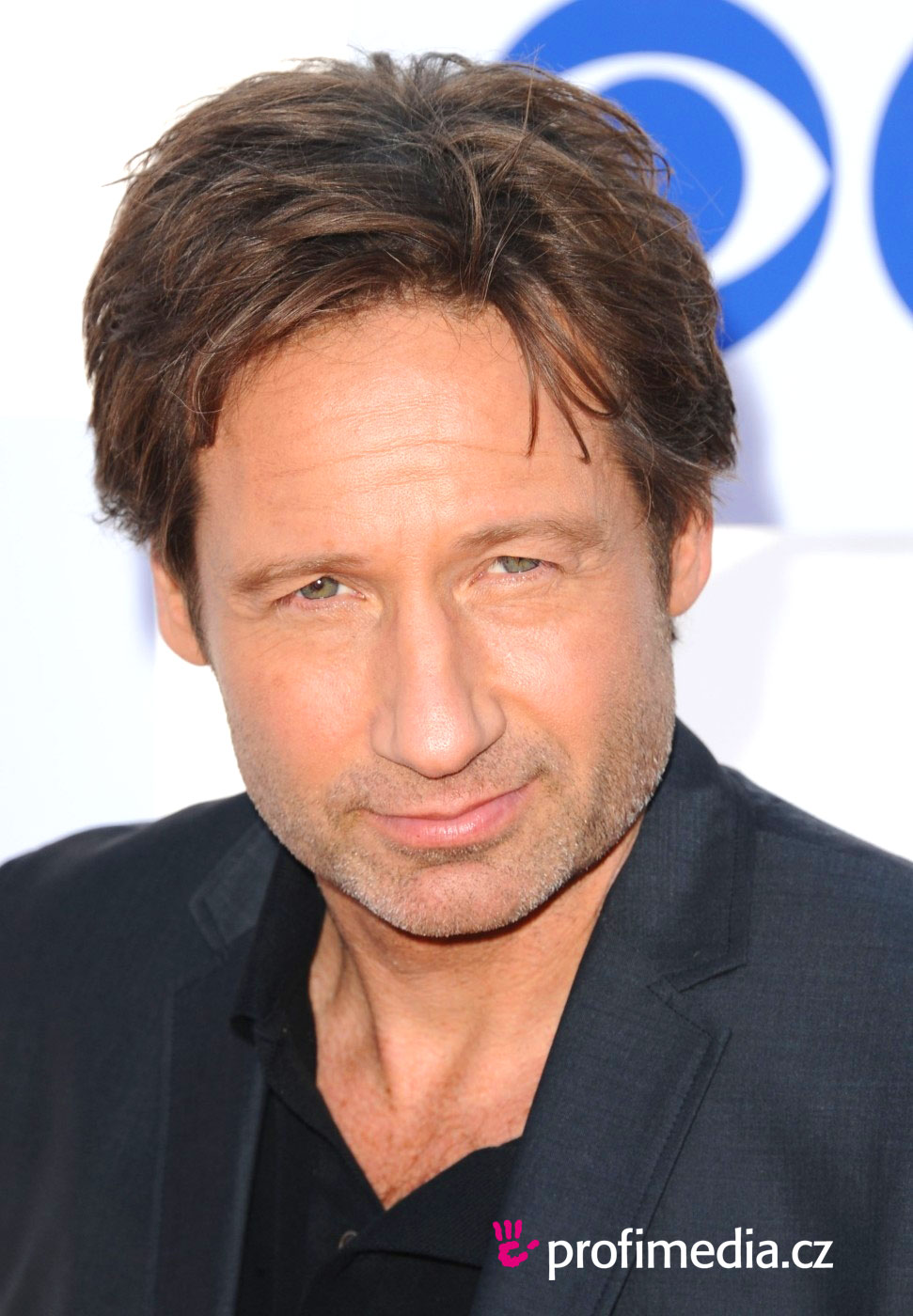 david-duchovny-2016