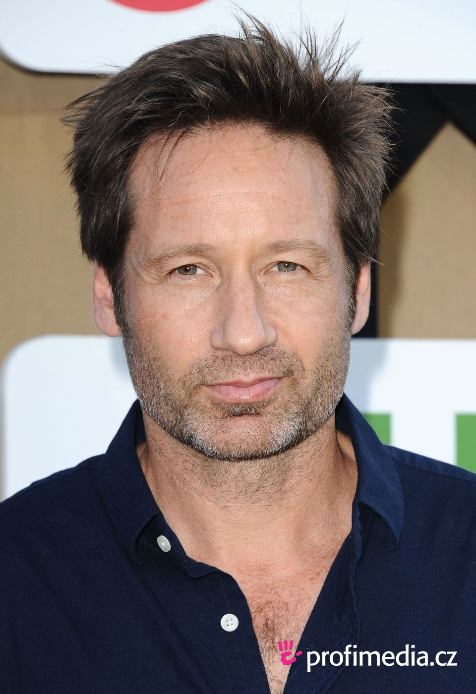 david-duchovny-news