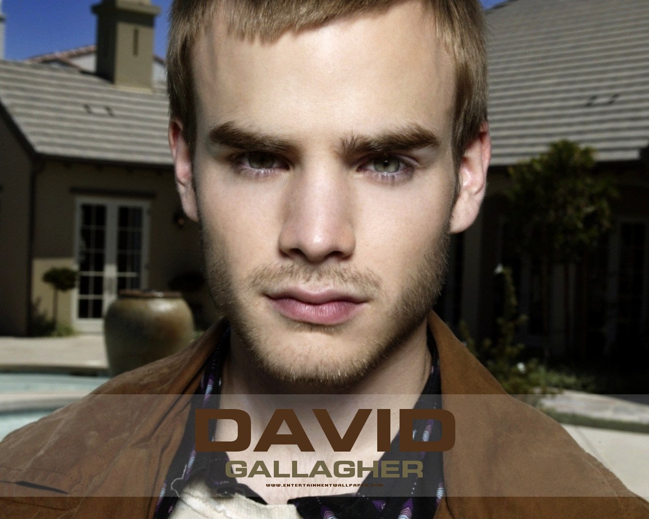 david-gallagher-party