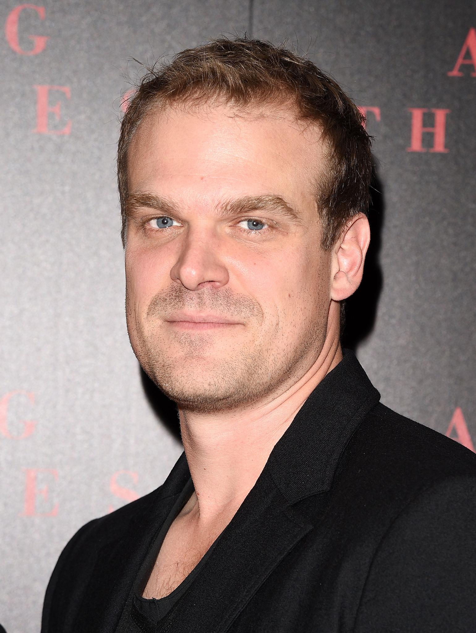 david-harbour-2015