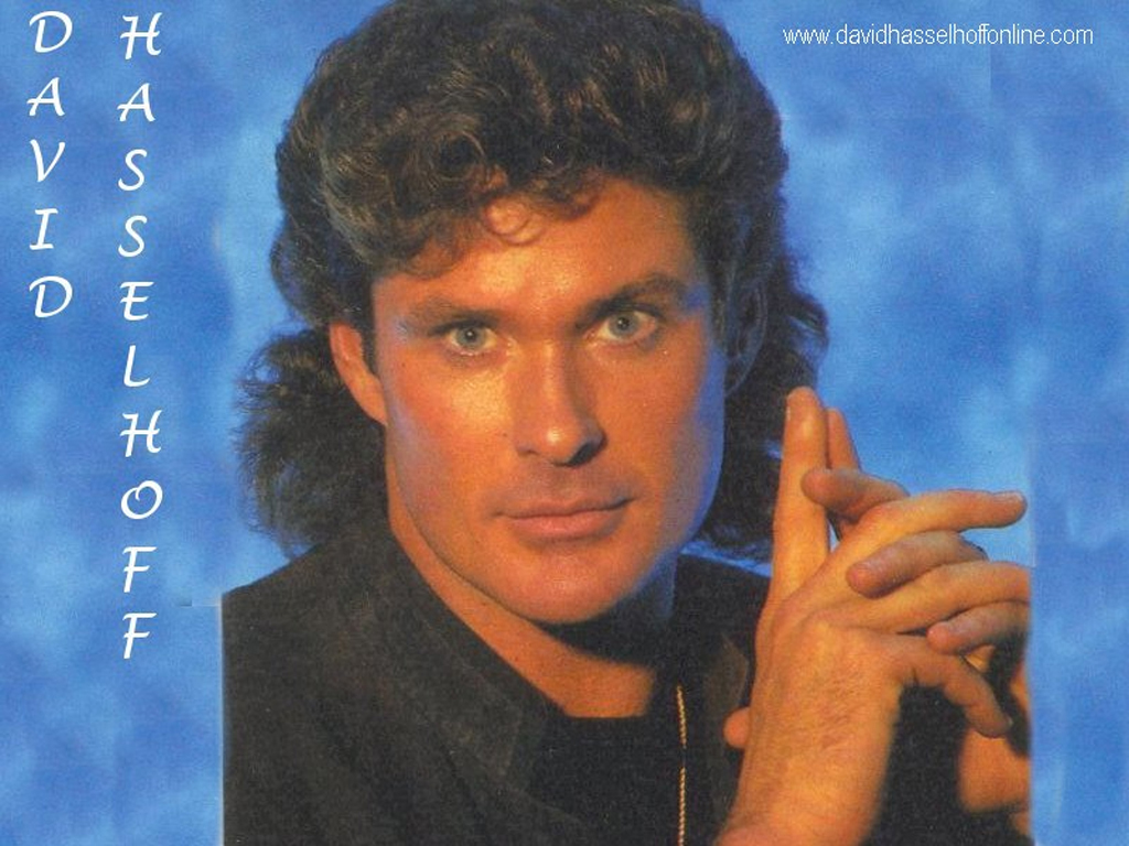 david-hasselhoff-2015