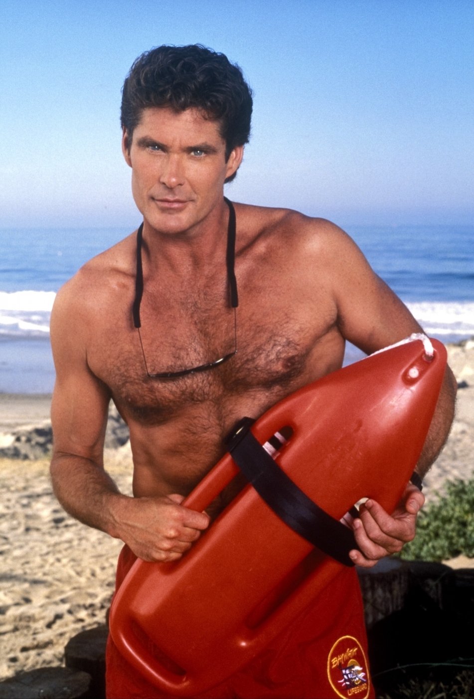 david-hasselhoff-2016