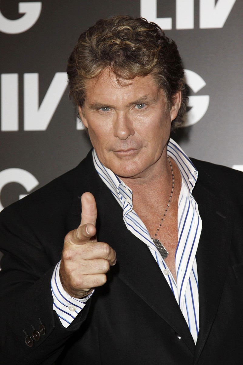 david-hasselhoff-house