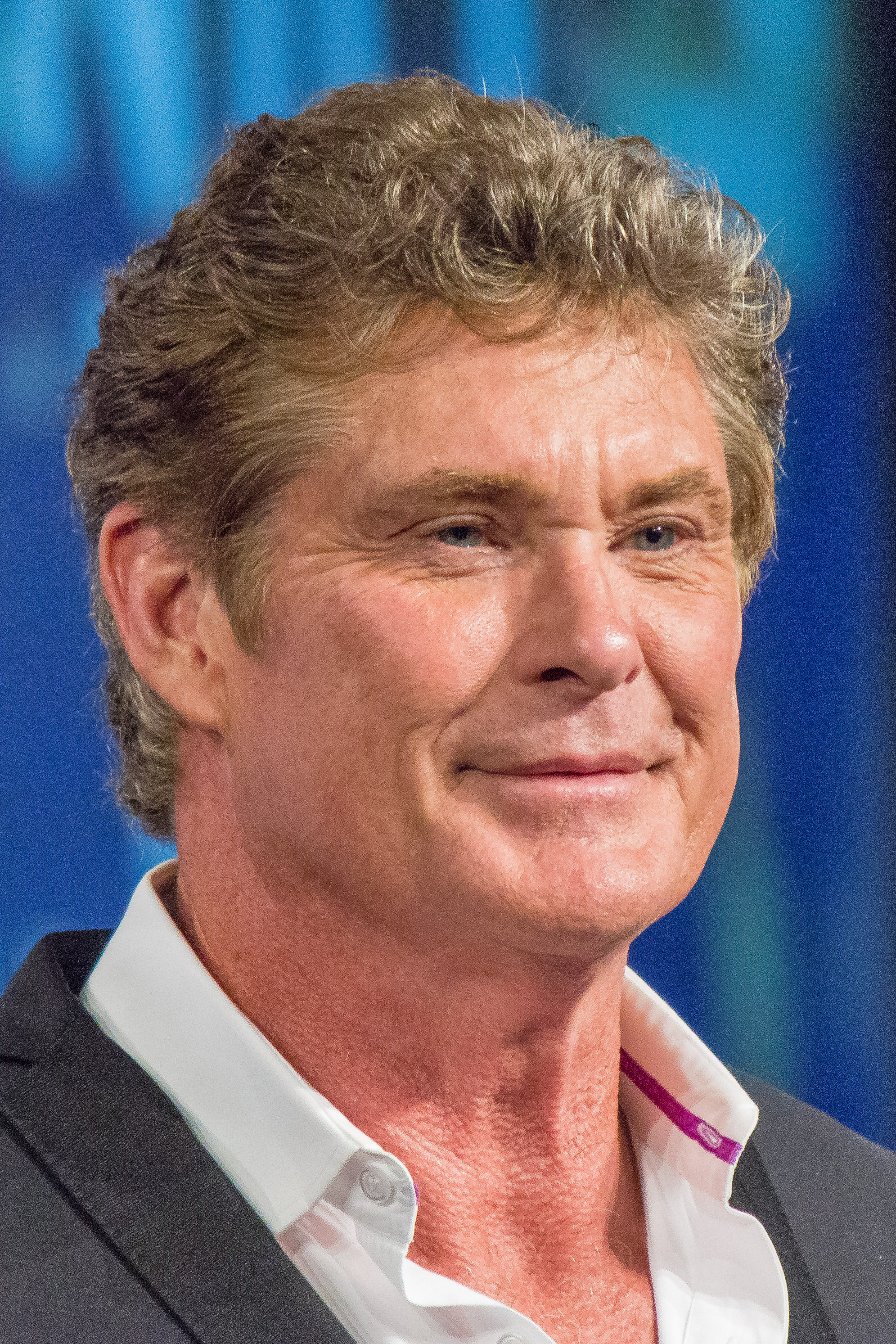 images-of-david-hasselhoff