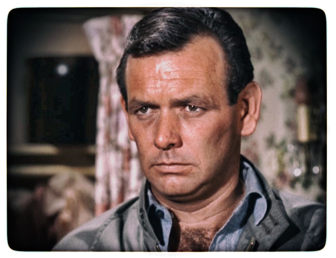 david-janssen-pictures