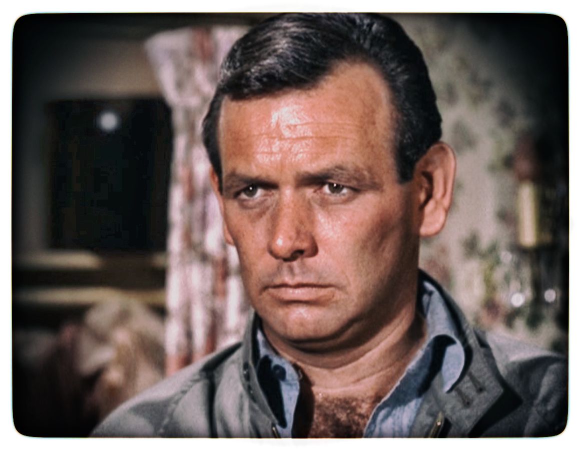 david-janssen-pictures