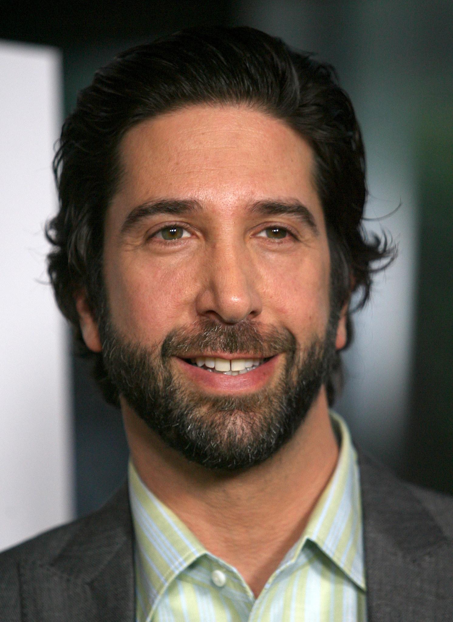 david-schwimmer-family