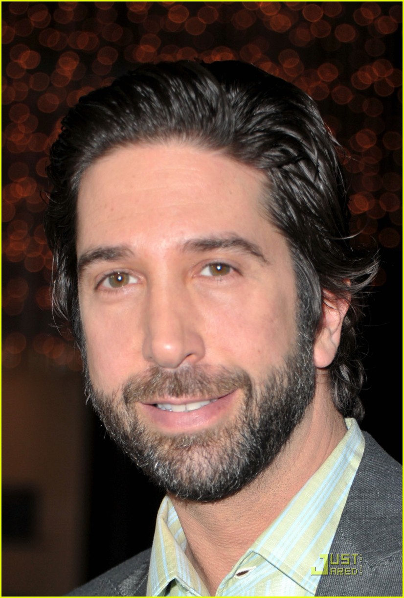 david-schwimmer-house