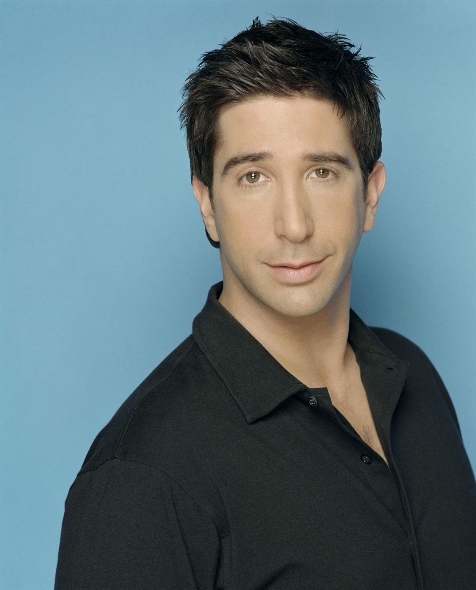 david-schwimmer-images