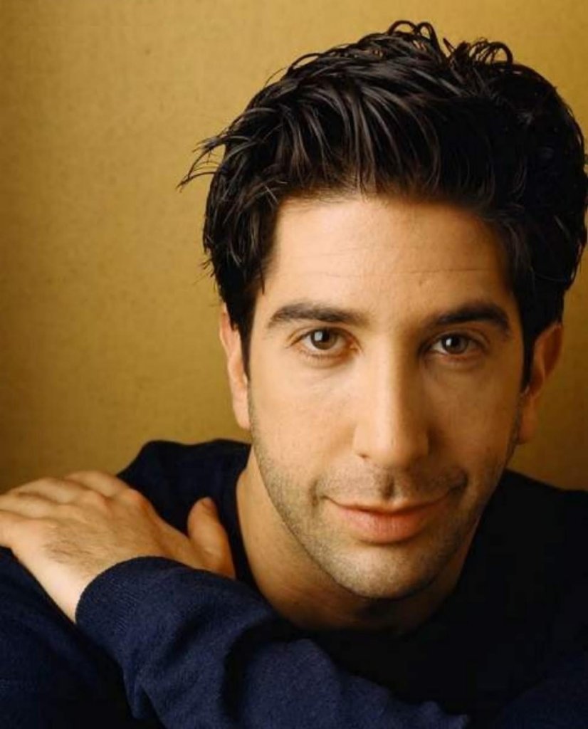 david-schwimmer-movies