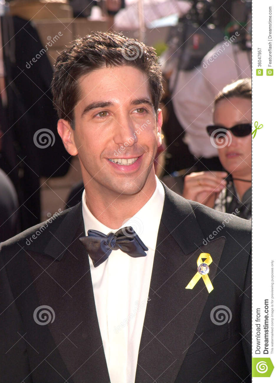 david-schwimmer-wedding