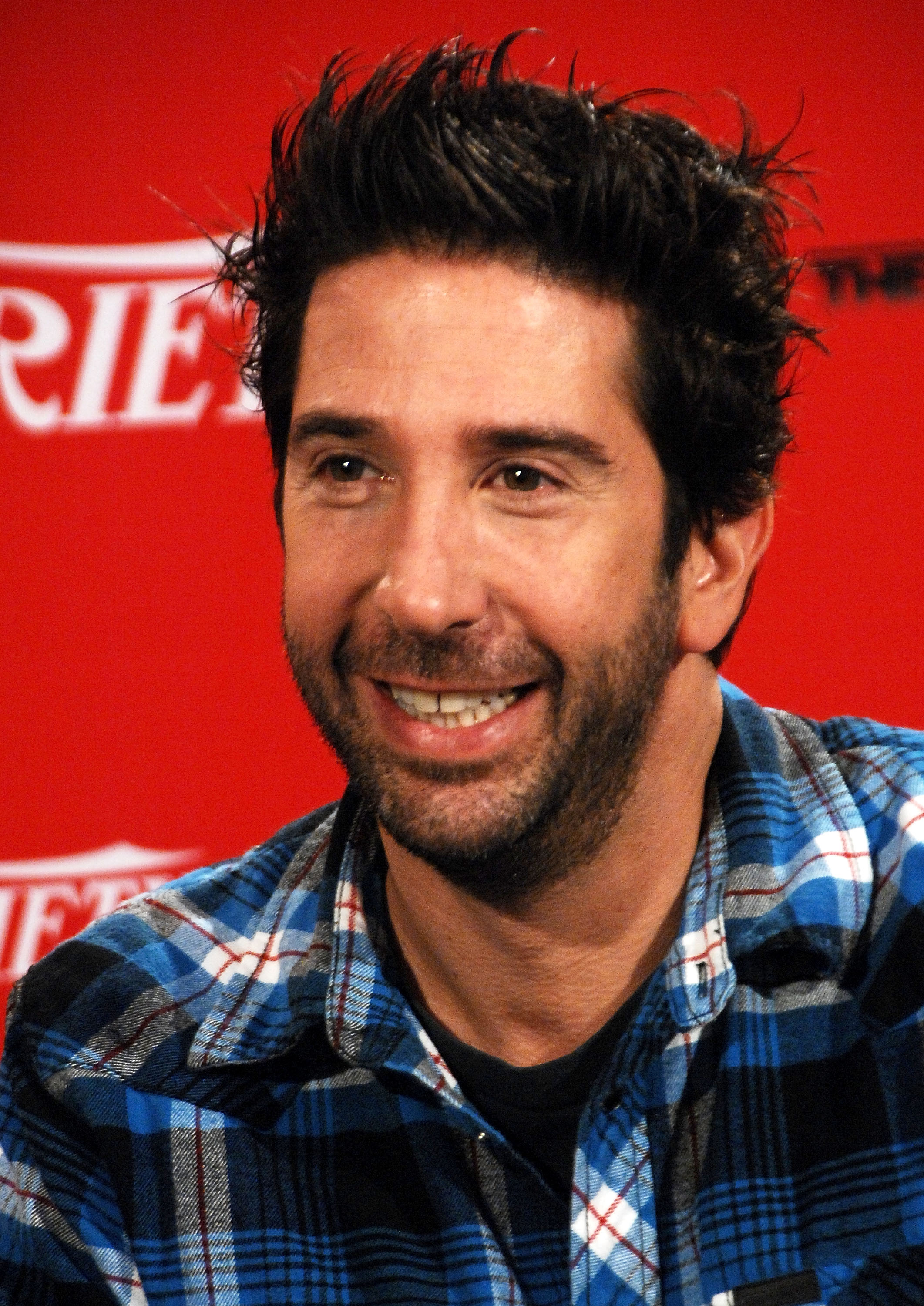 david-schwimmer-young