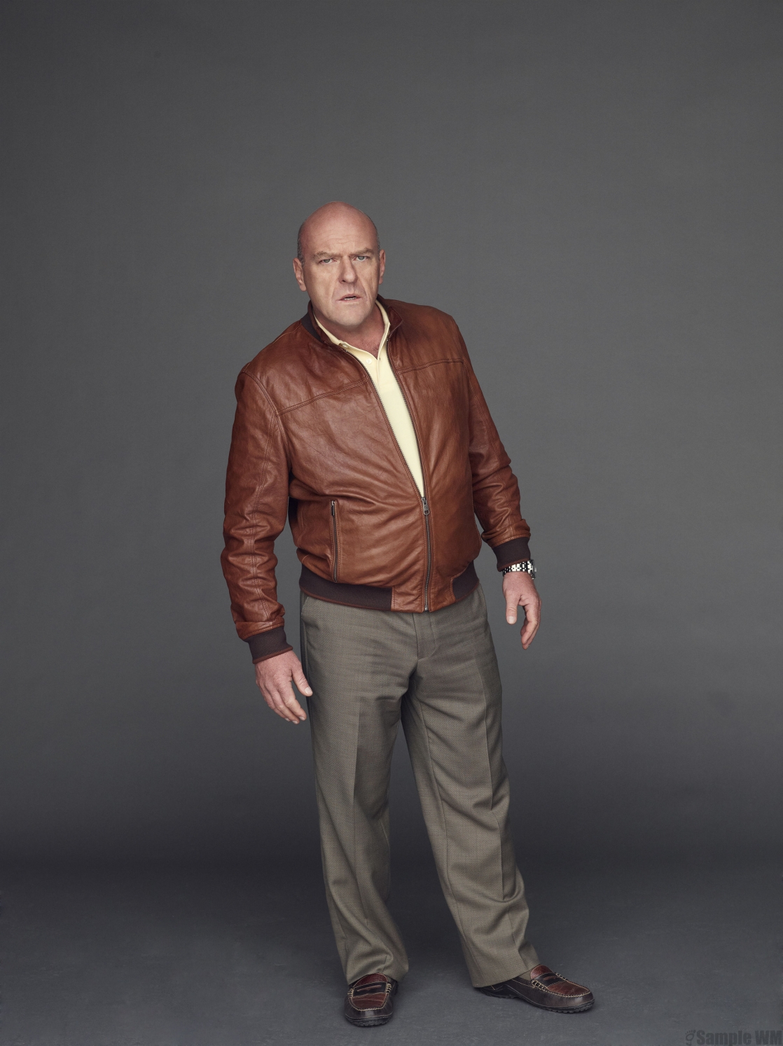 dean-norris-gossip