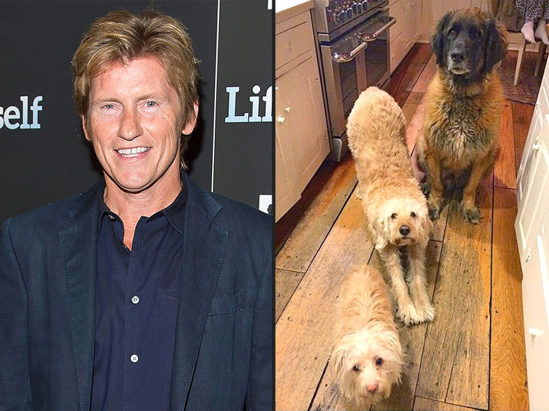 denis-leary-family