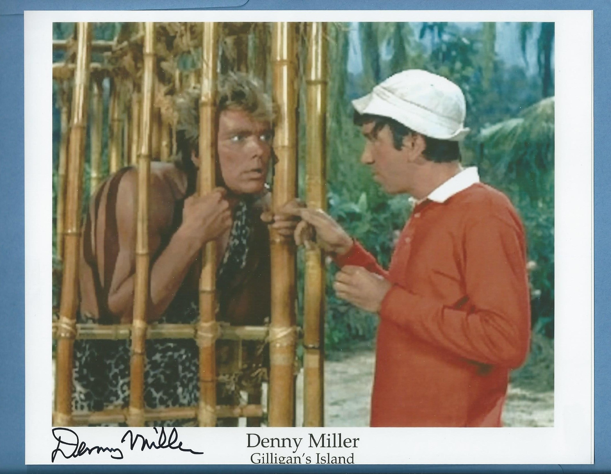 best-pictures-of-denny-miller