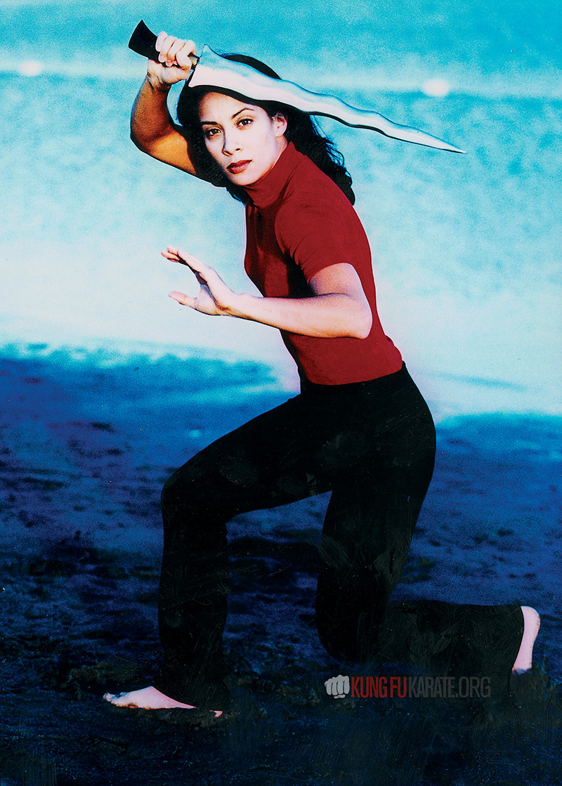 best-pictures-of-diana-lee-inosanto