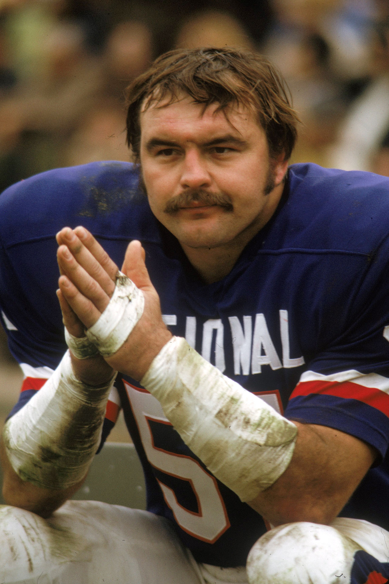 dick-butkus-2016