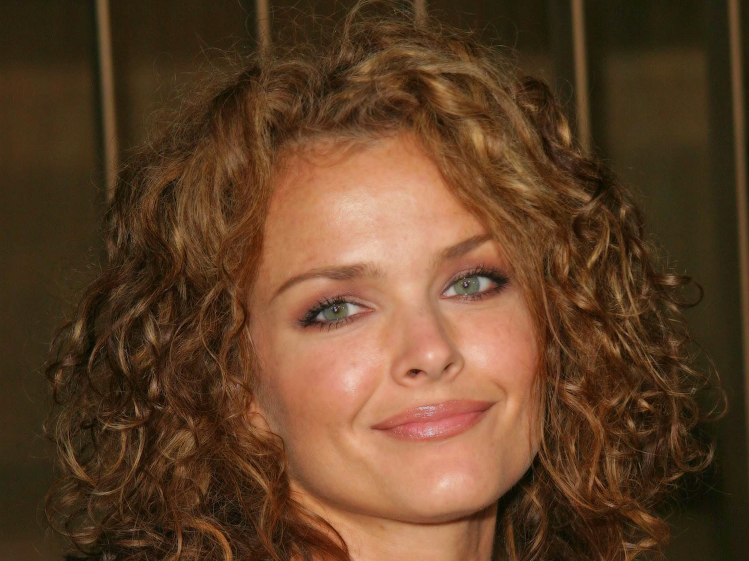 dina-meyer-gossip