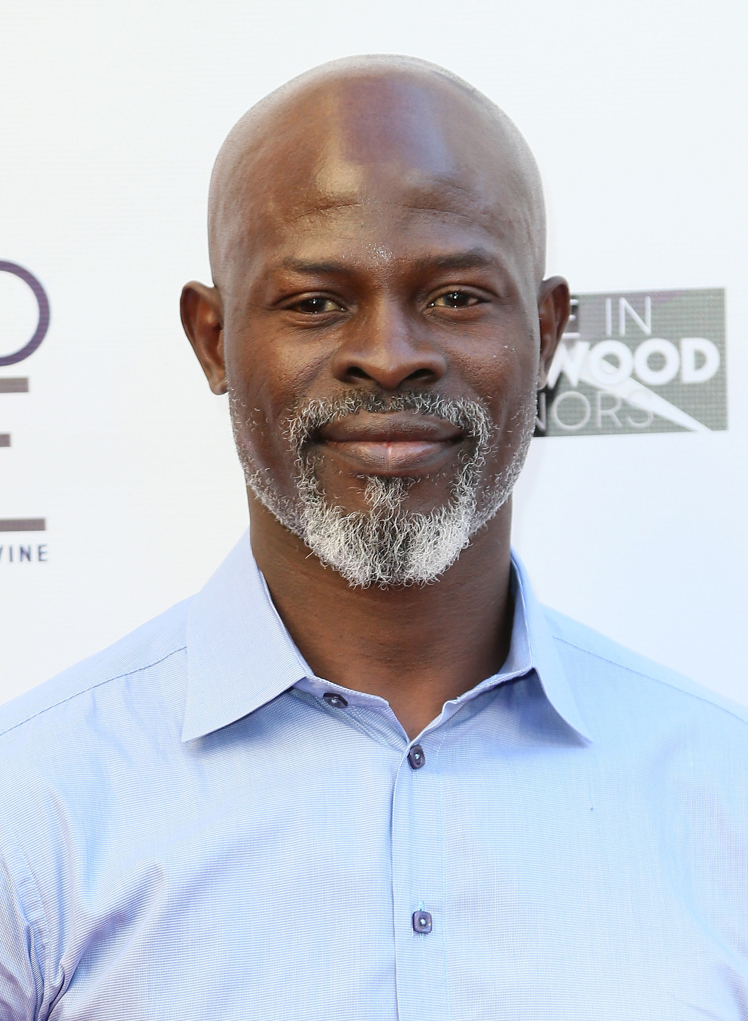 images-of-djimon-hounsou