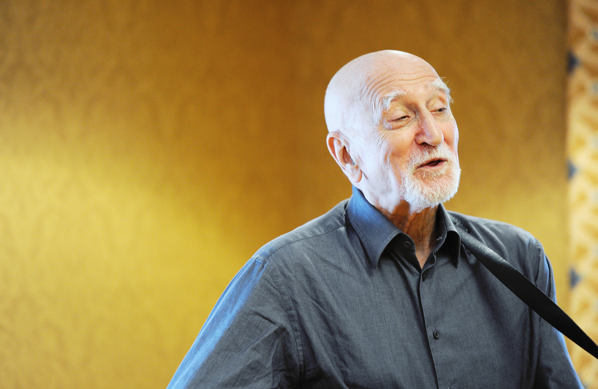 dominic-chianese-images