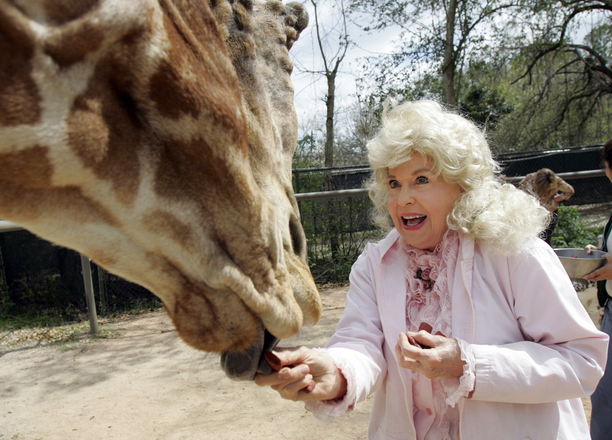 donna-douglas-movies