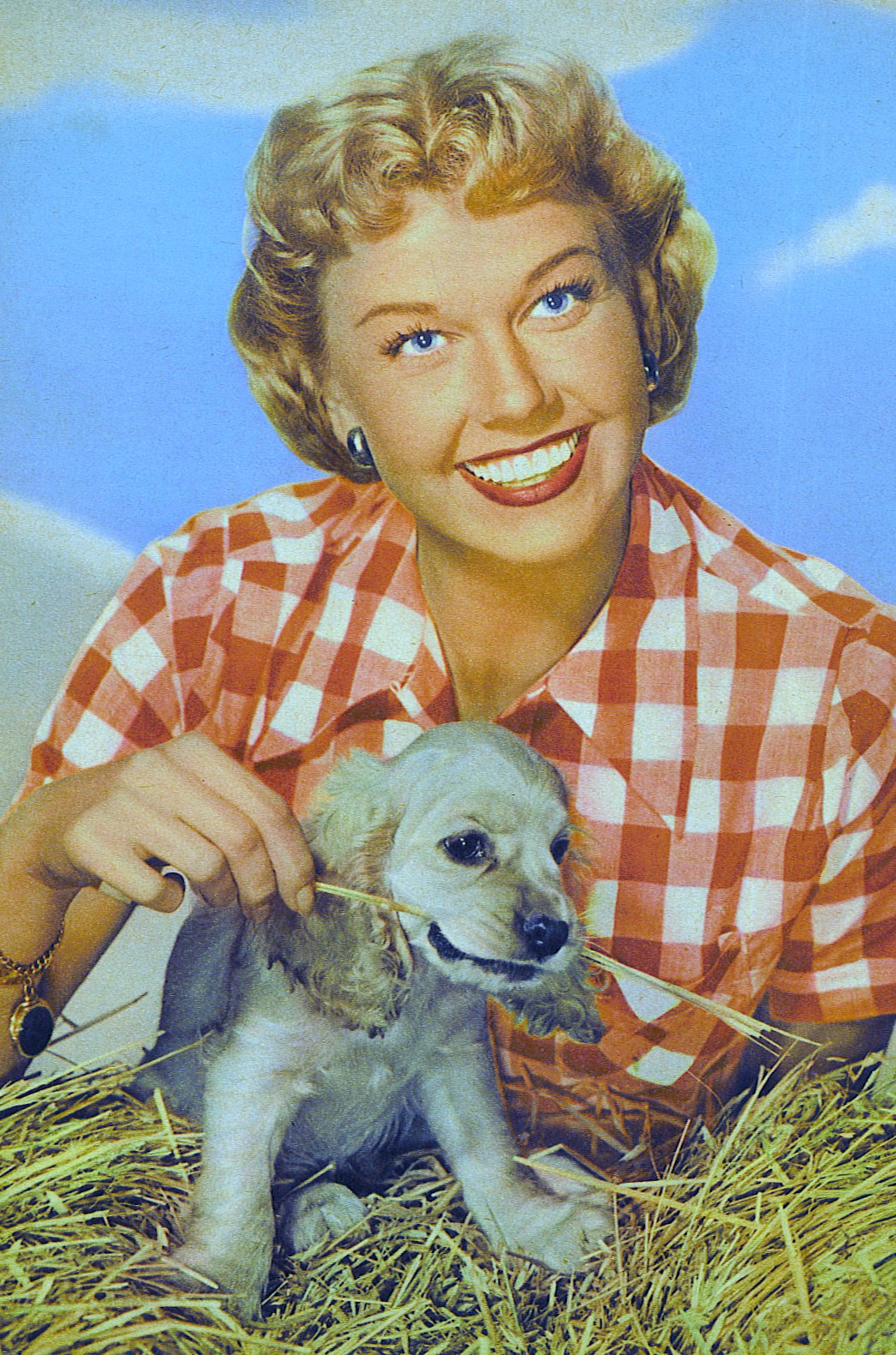 doris-day-news