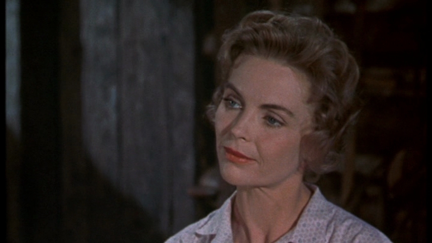 dorothy-mcguire-images
