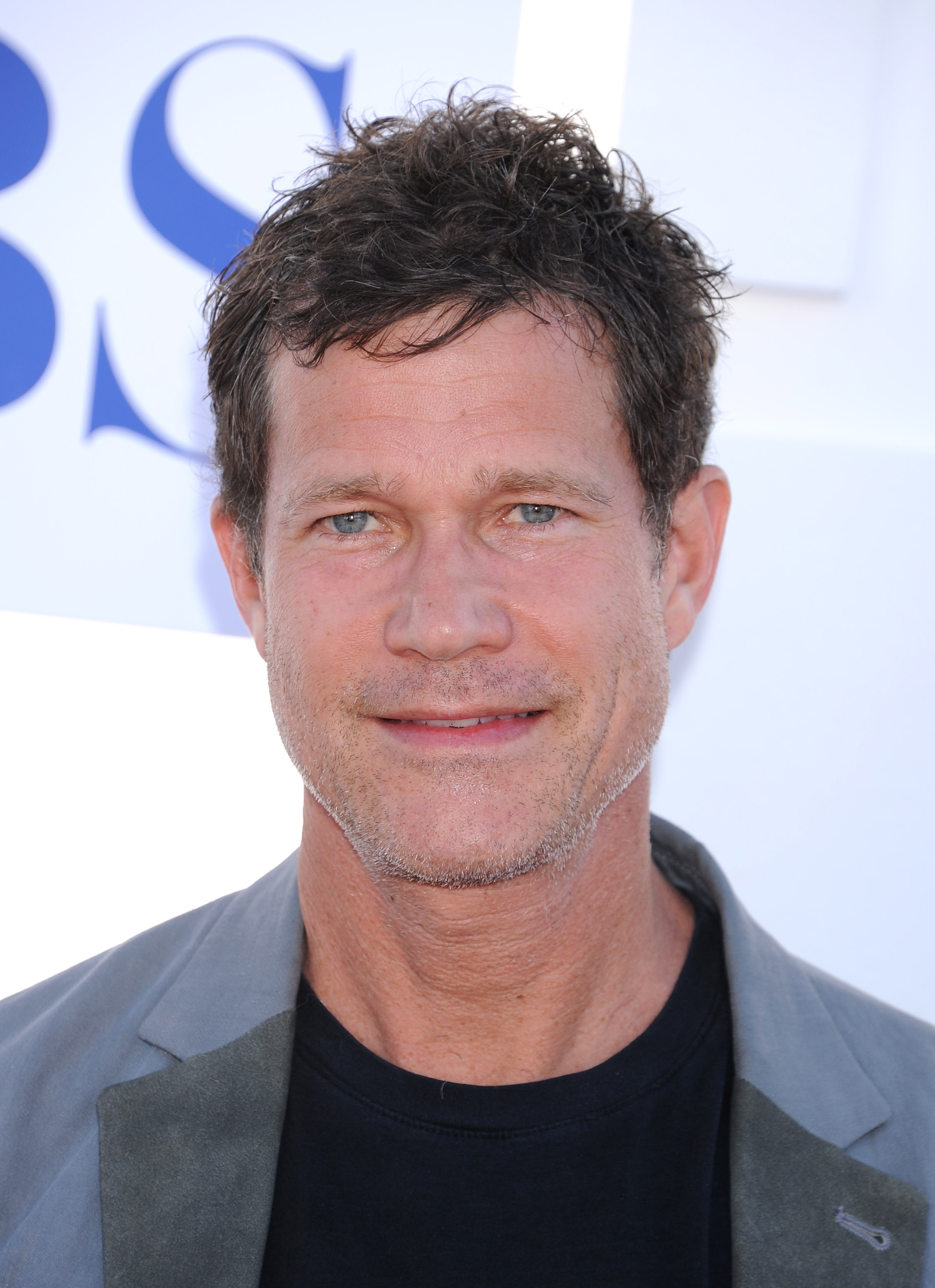 images-of-dylan-walsh