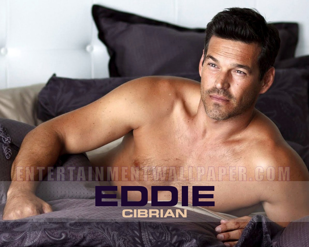 eddie-cibrian-photos