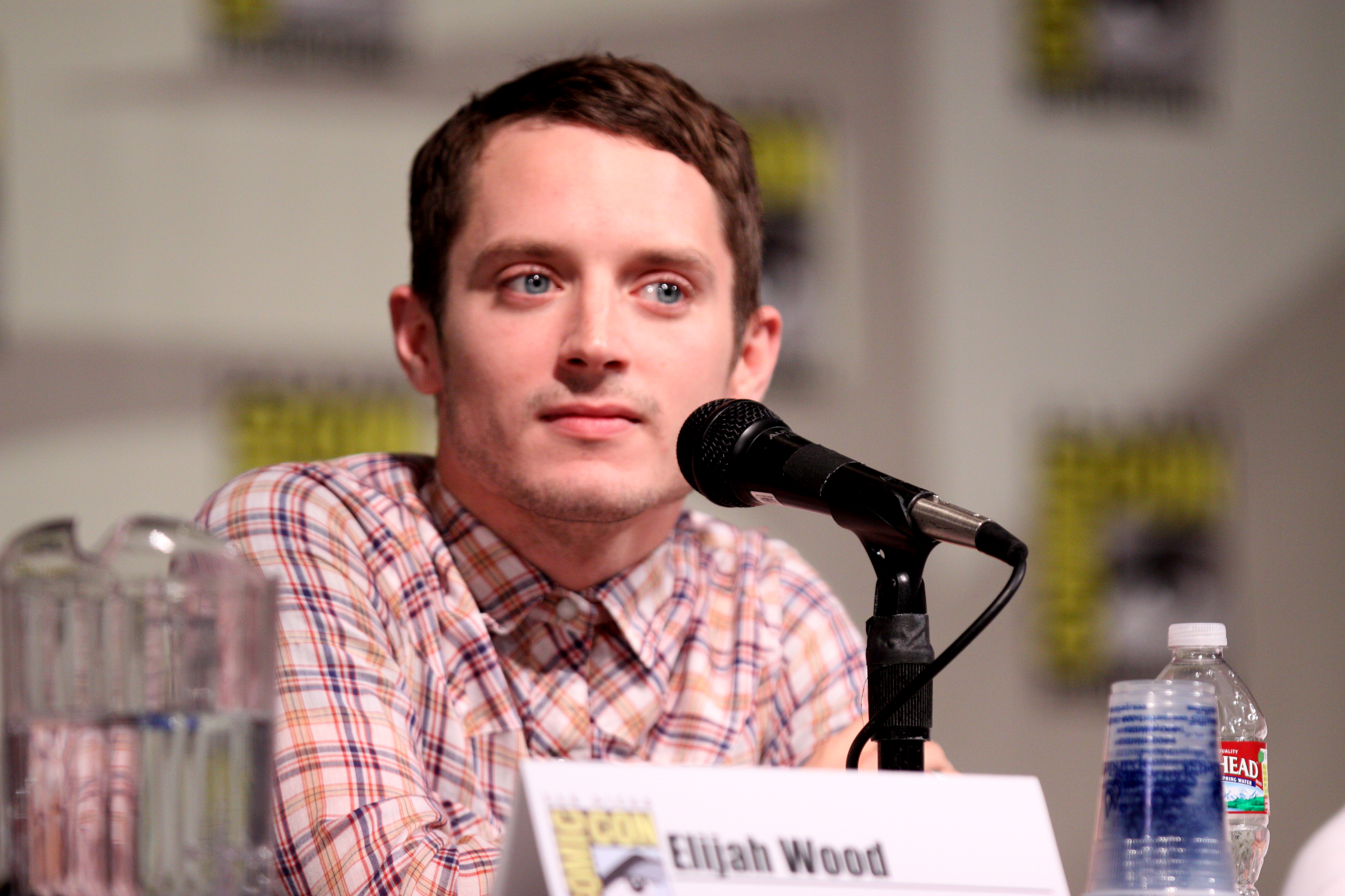 elijah-wood-gossip