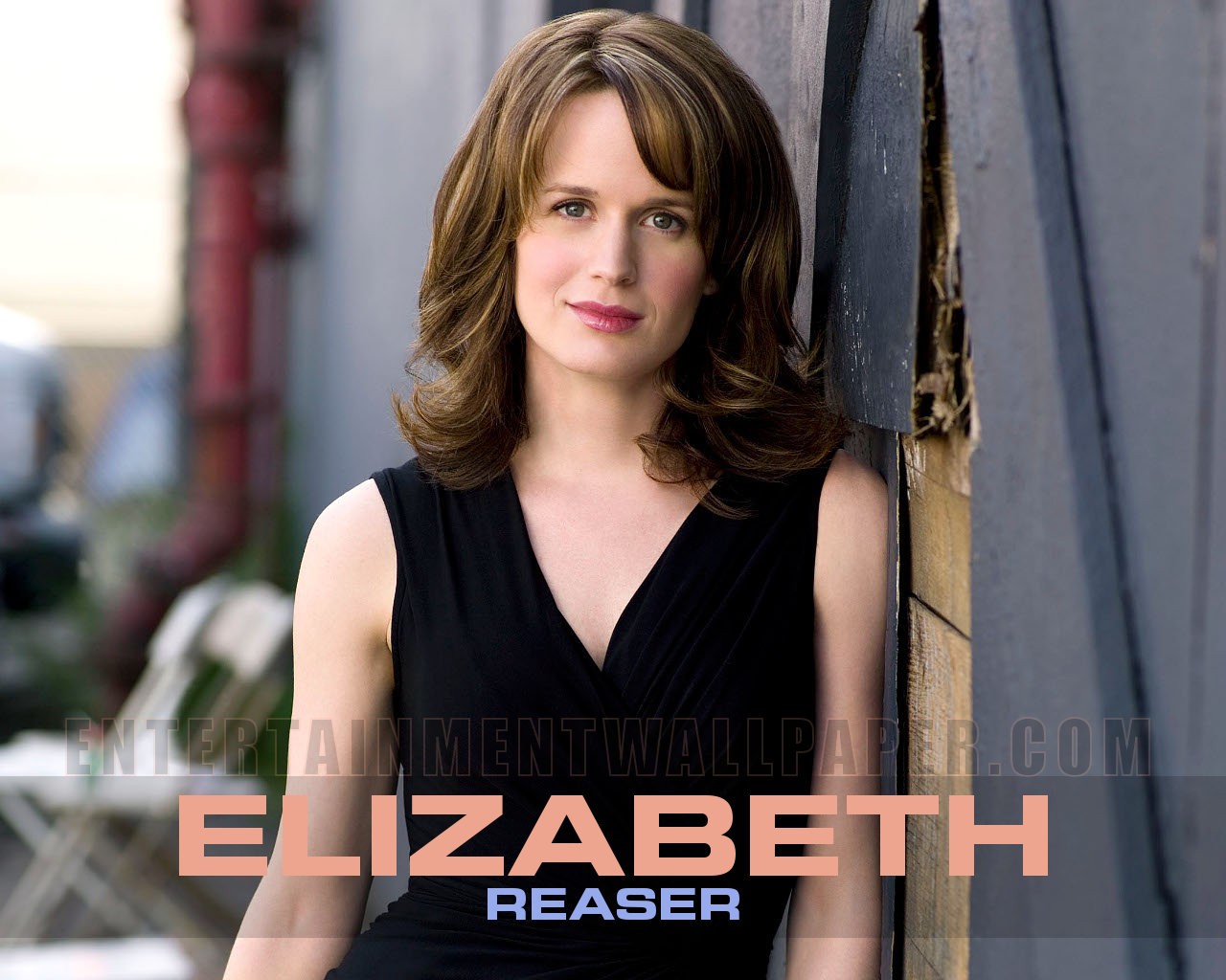 elizabeth-reaser-wedding