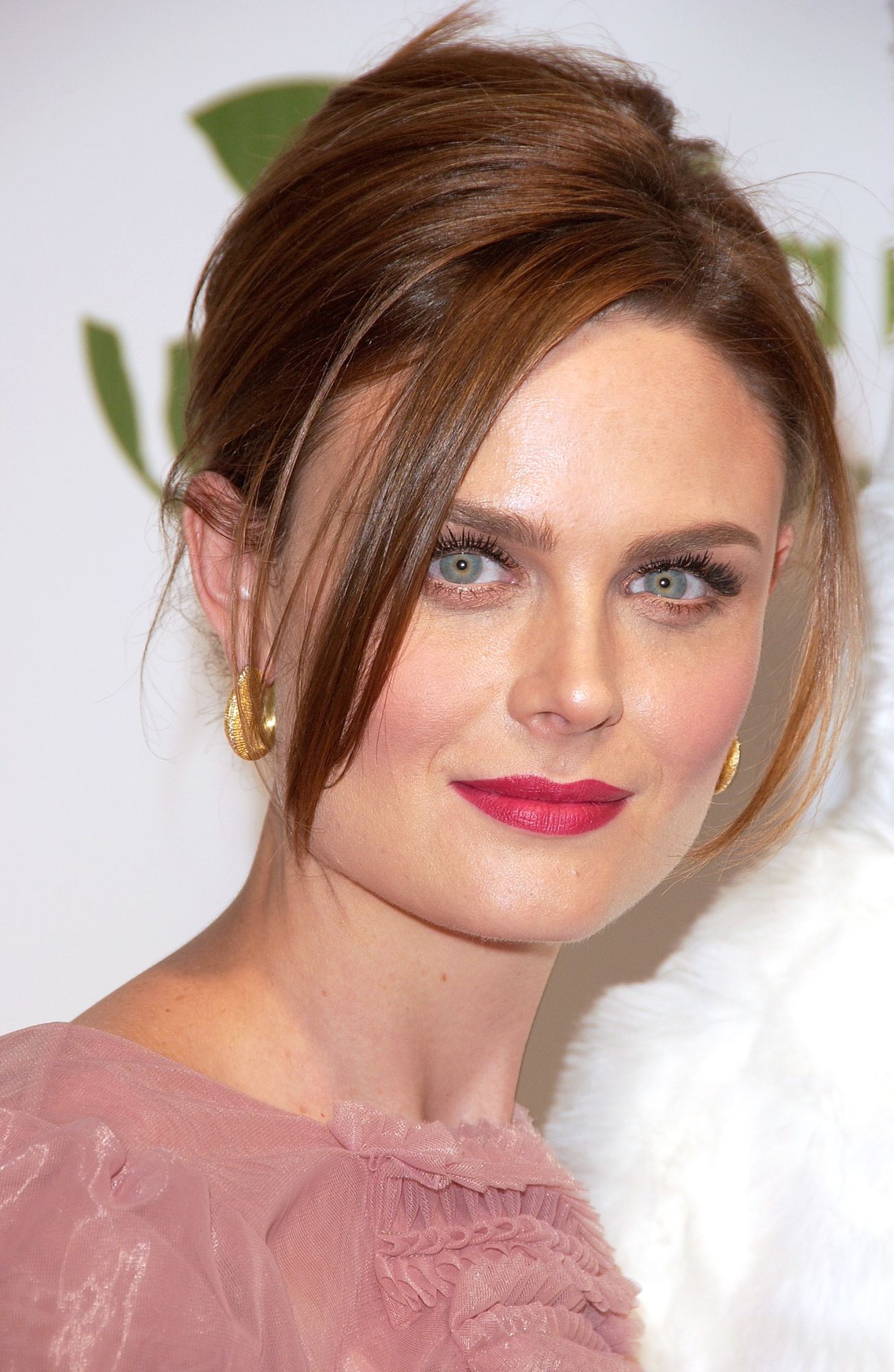 emily-deschanel-net-worth