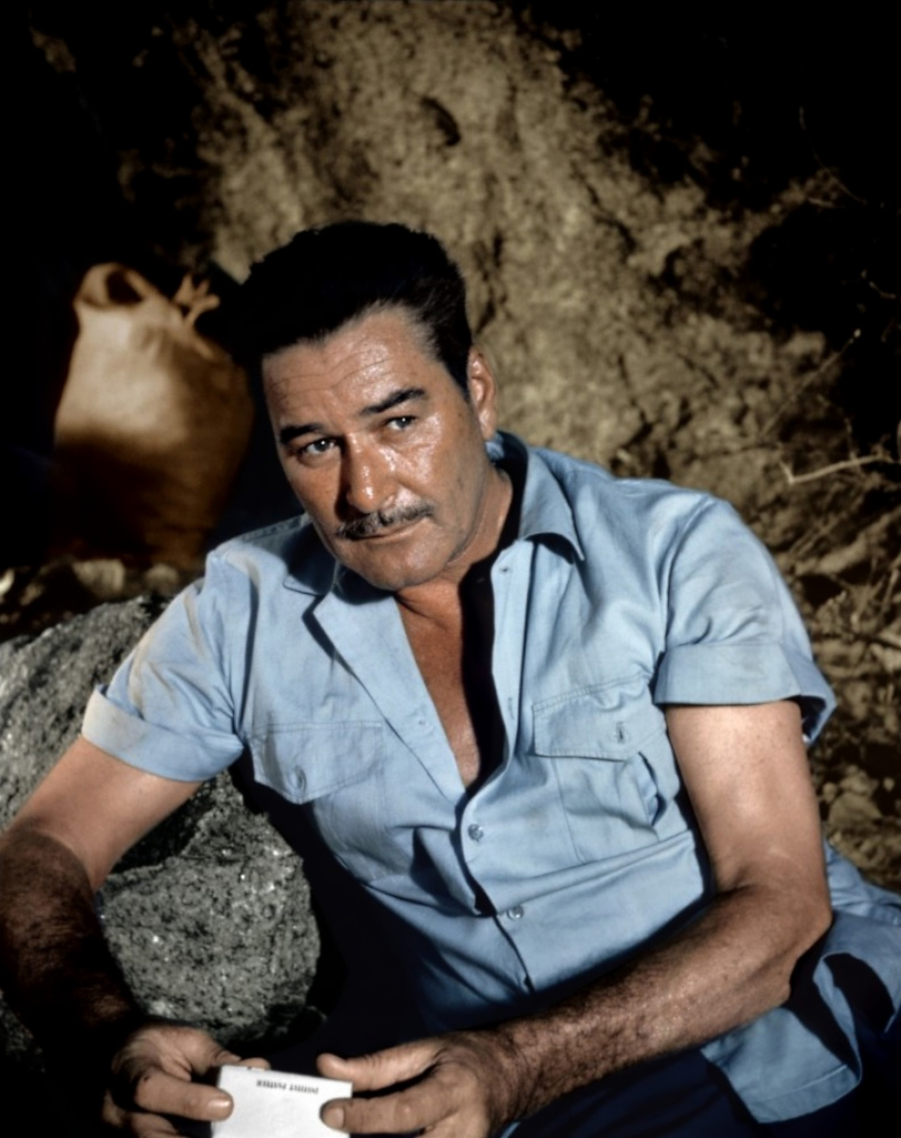 errol-flynn-quotes