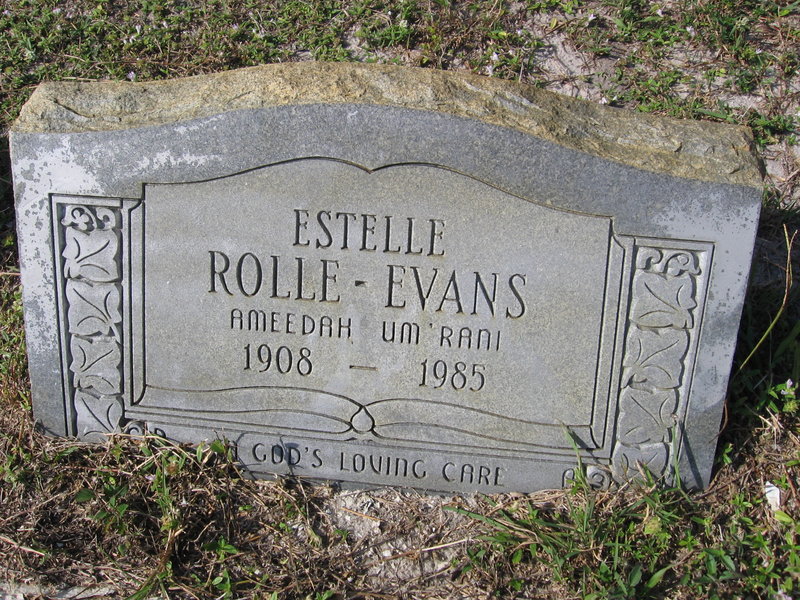 estelle-evans-news