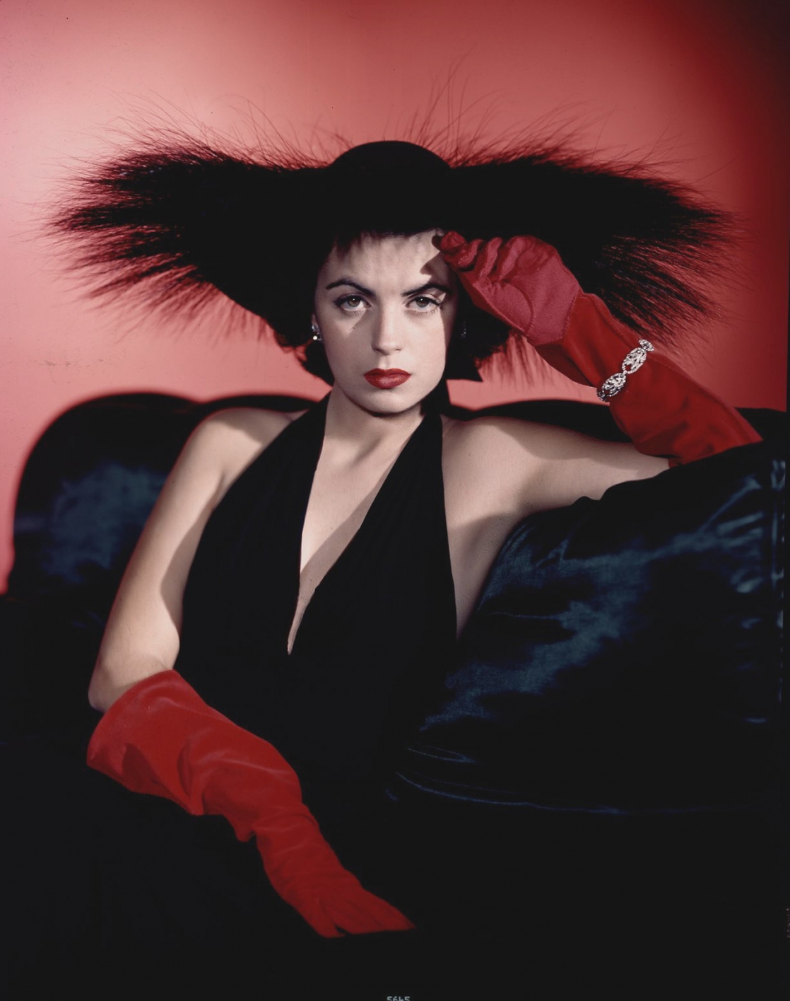 best-pictures-of-faith-domergue