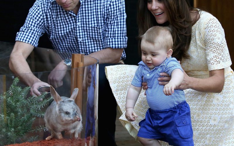 george-bunny-photos