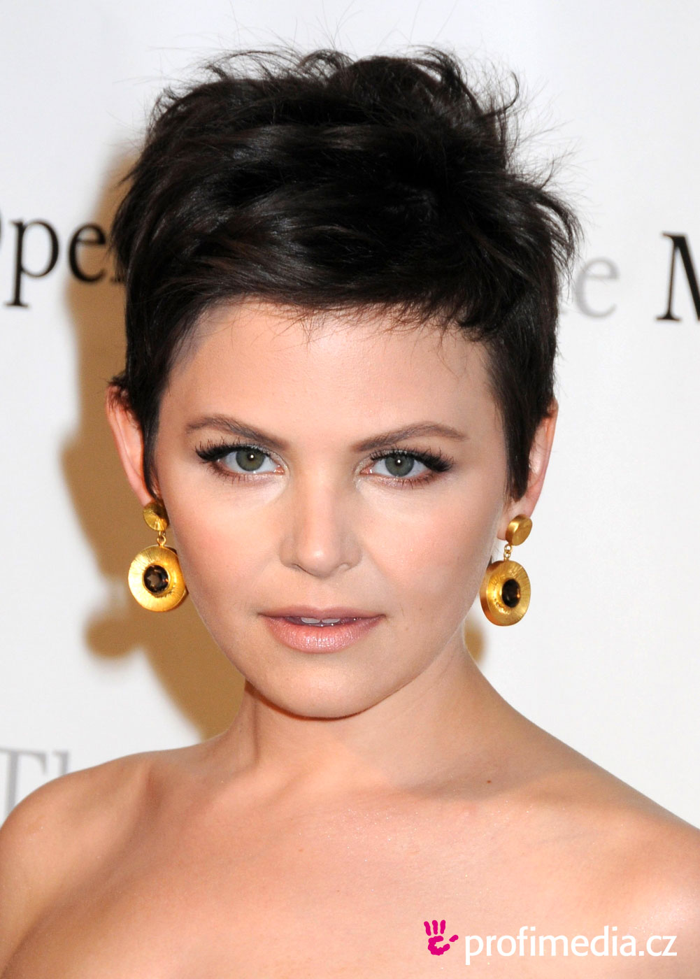 best-pictures-of-ginnifer-goodwin