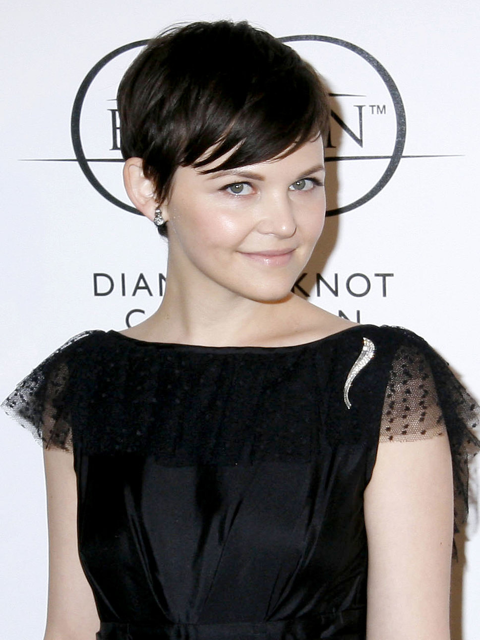 ginnifer-goodwin-movies