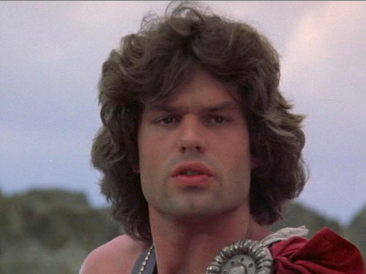 harry-hamlin-family