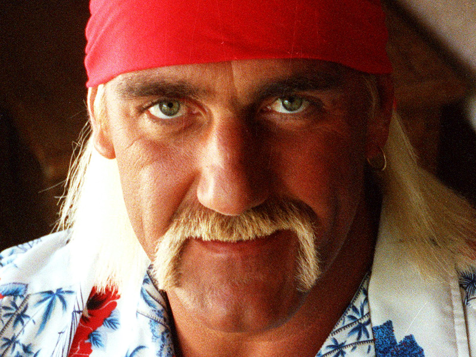 hulk-hogan-news