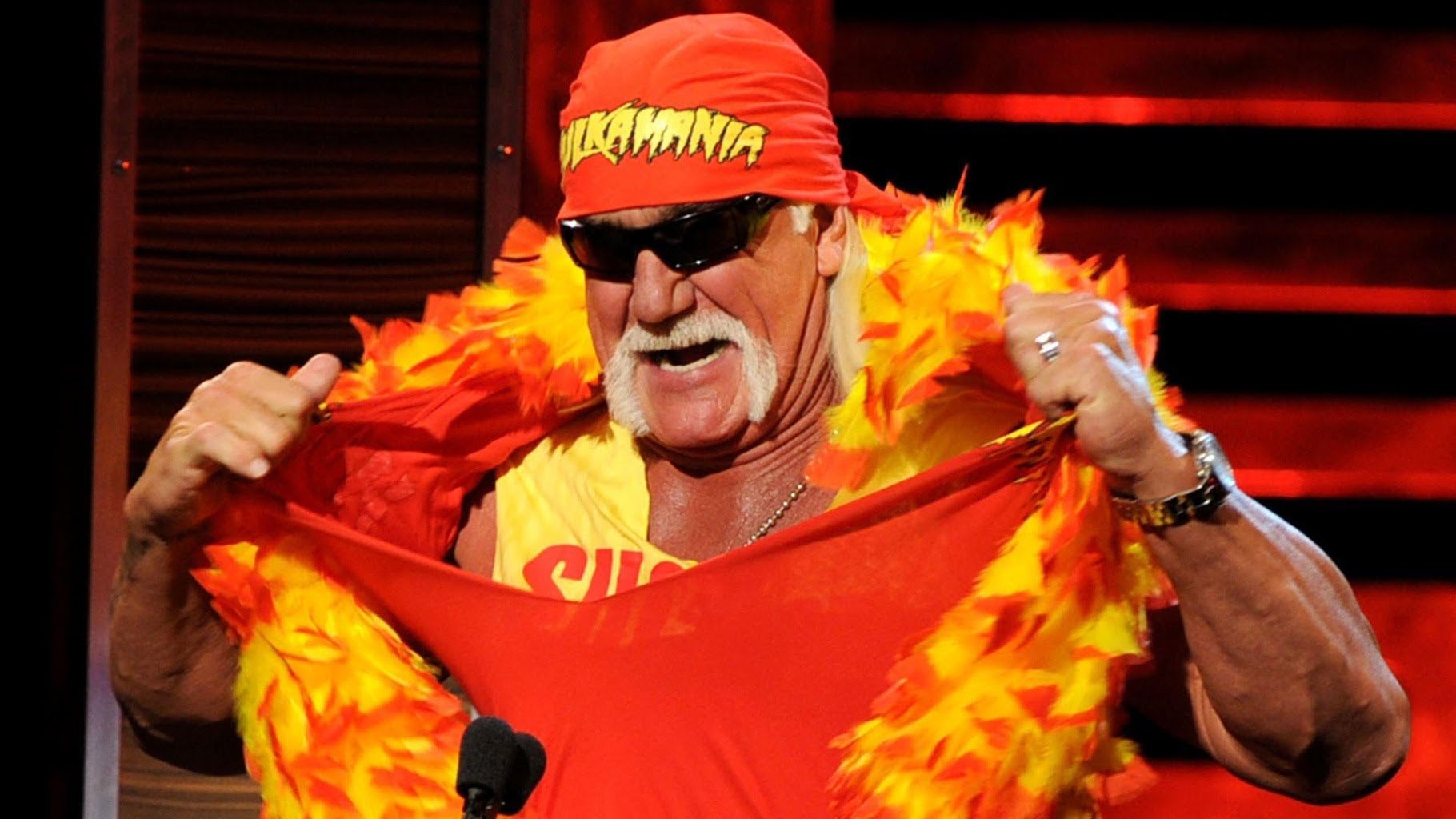 hulk-hogan-wallpapers