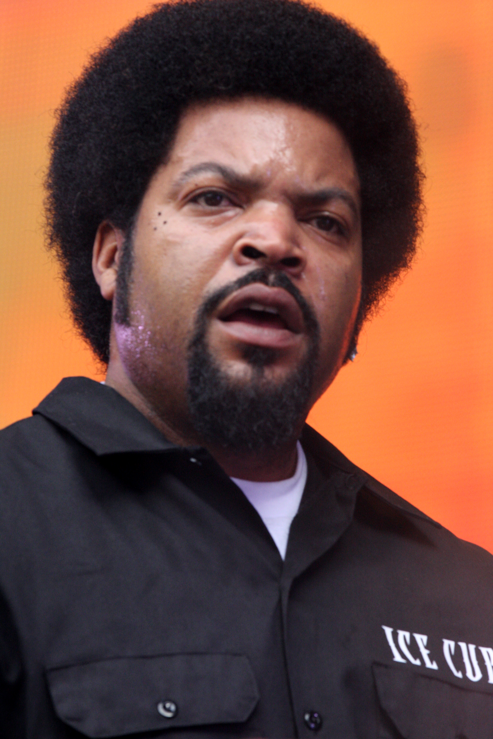 ice-cube-pictures