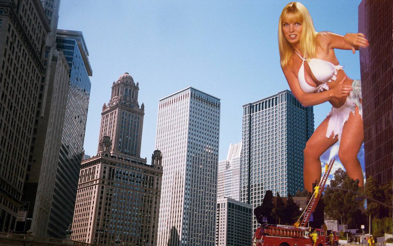 Pictures Of J J North Picture 265490 Pictures Of Celebrities Pictures Of J J North Picture 265490 Pictures Of Celebrities